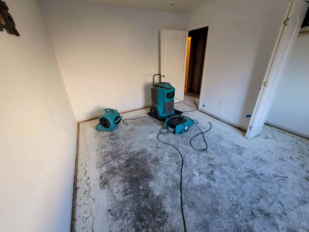 Best Commercial water damage restoration  in Roebling, NJ