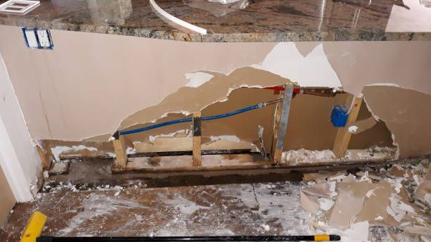 Best Flood restoration services  in Roebling, NJ