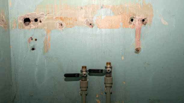  Roebling, NJ Water damage restoration Pros