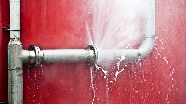 Best Residential water damage restoration  in Roebling, NJ